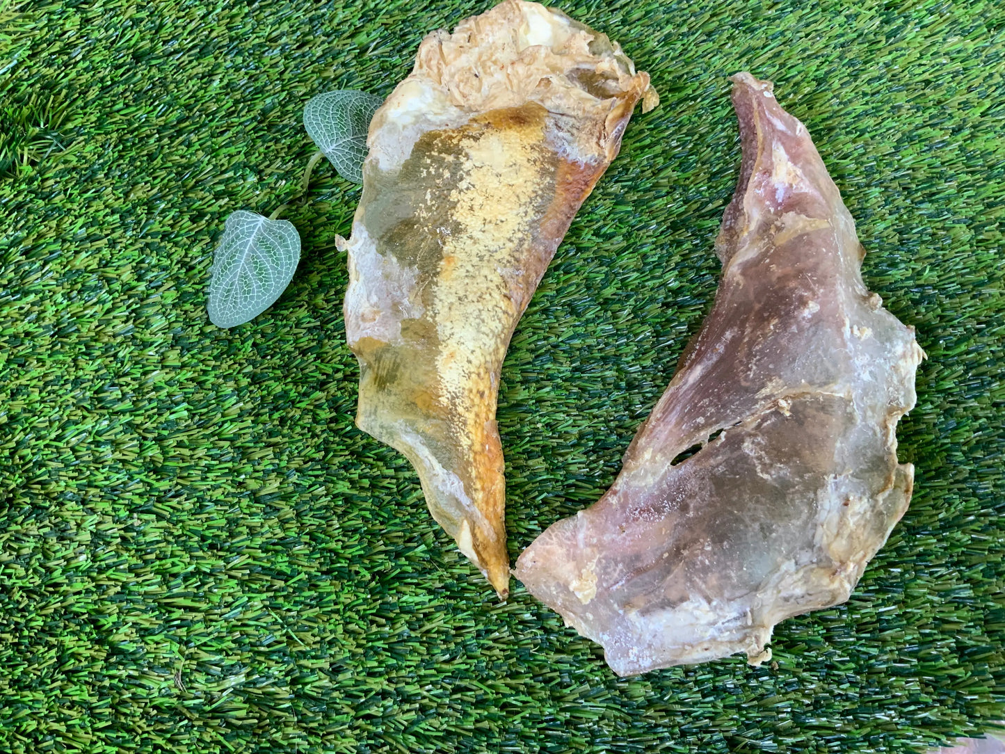 Beef Moon Bones UTA Kennels