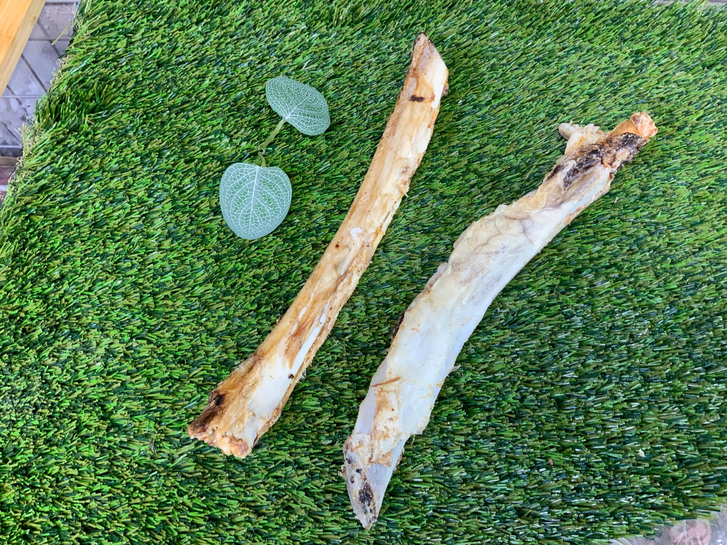 Beef Ribs UTA Kennels