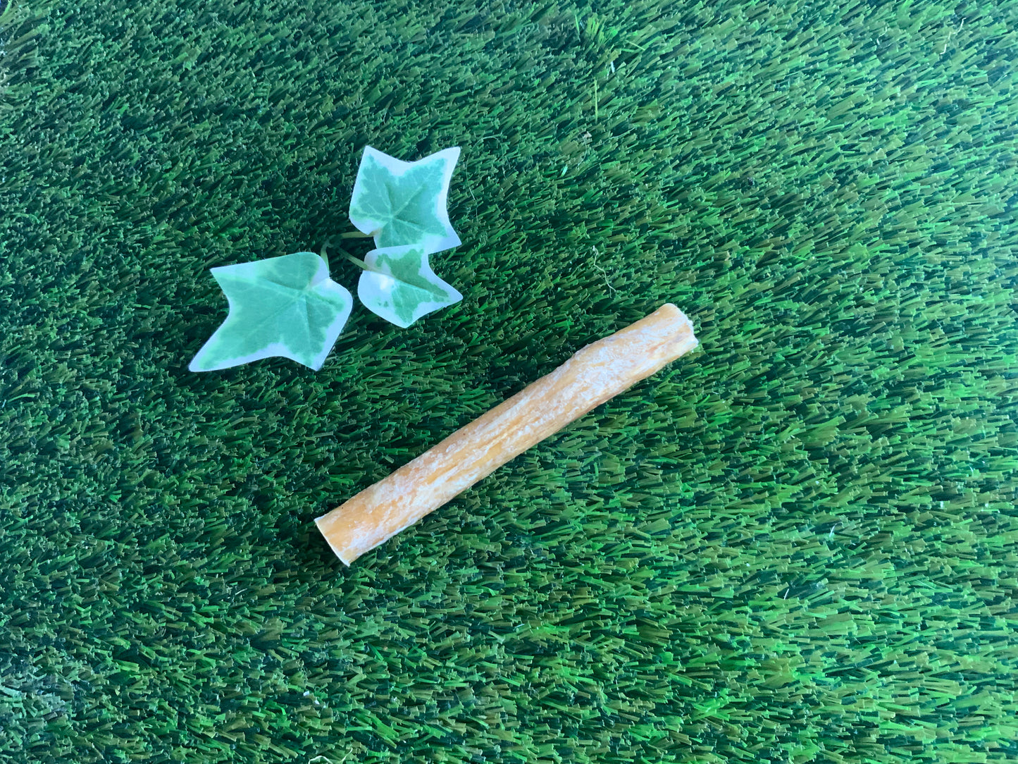 Buffalo Pizzle UTA Kennels