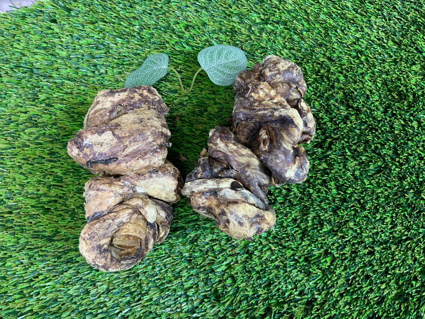 Buffalo Trachea with Lung UTA Kennels