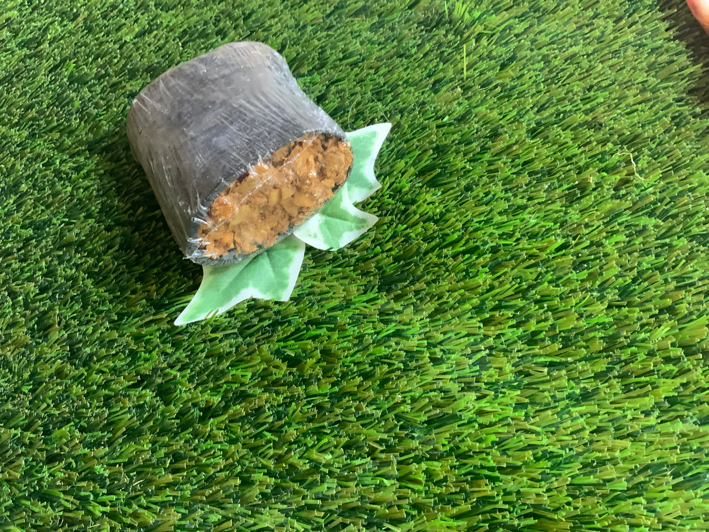 Filled Buffalo Horn UTA Kennels