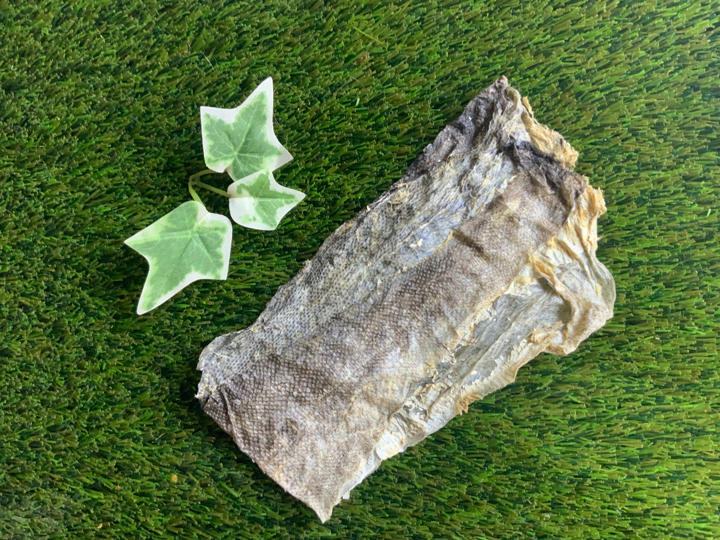 Fish Skin Flats UTA Kennels