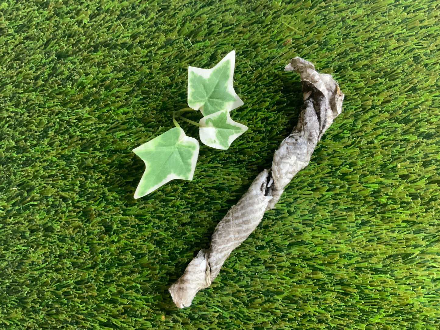 Fish Skin Twists UTA Kennels