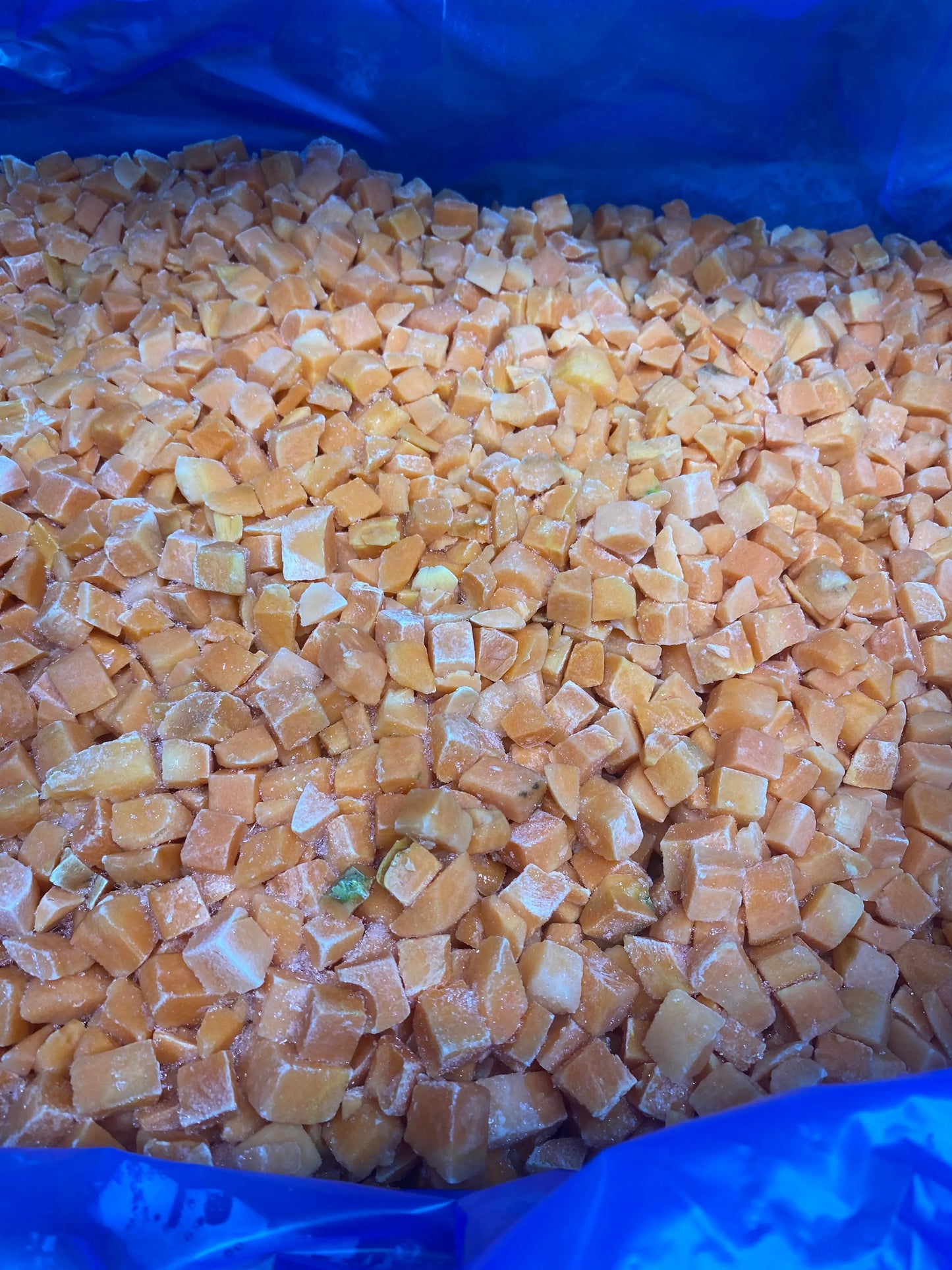 Frozen carrot cubes 250 grams UTA K9