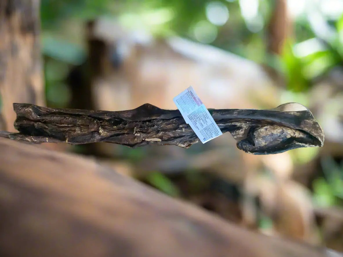 Giant bully jerky stick UTA K9