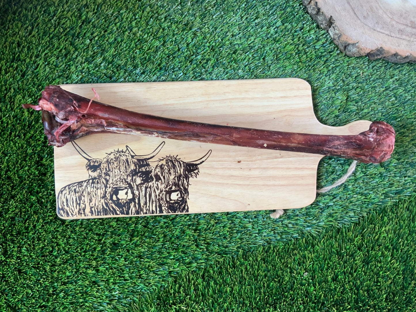 Giant ostrich bone UTA K9