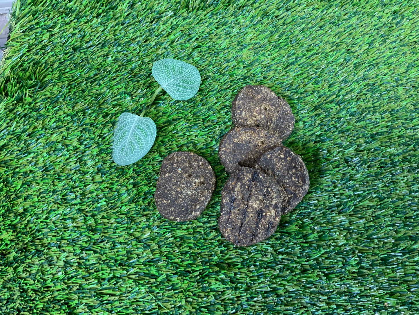 Gourment Burgers UTA Kennels