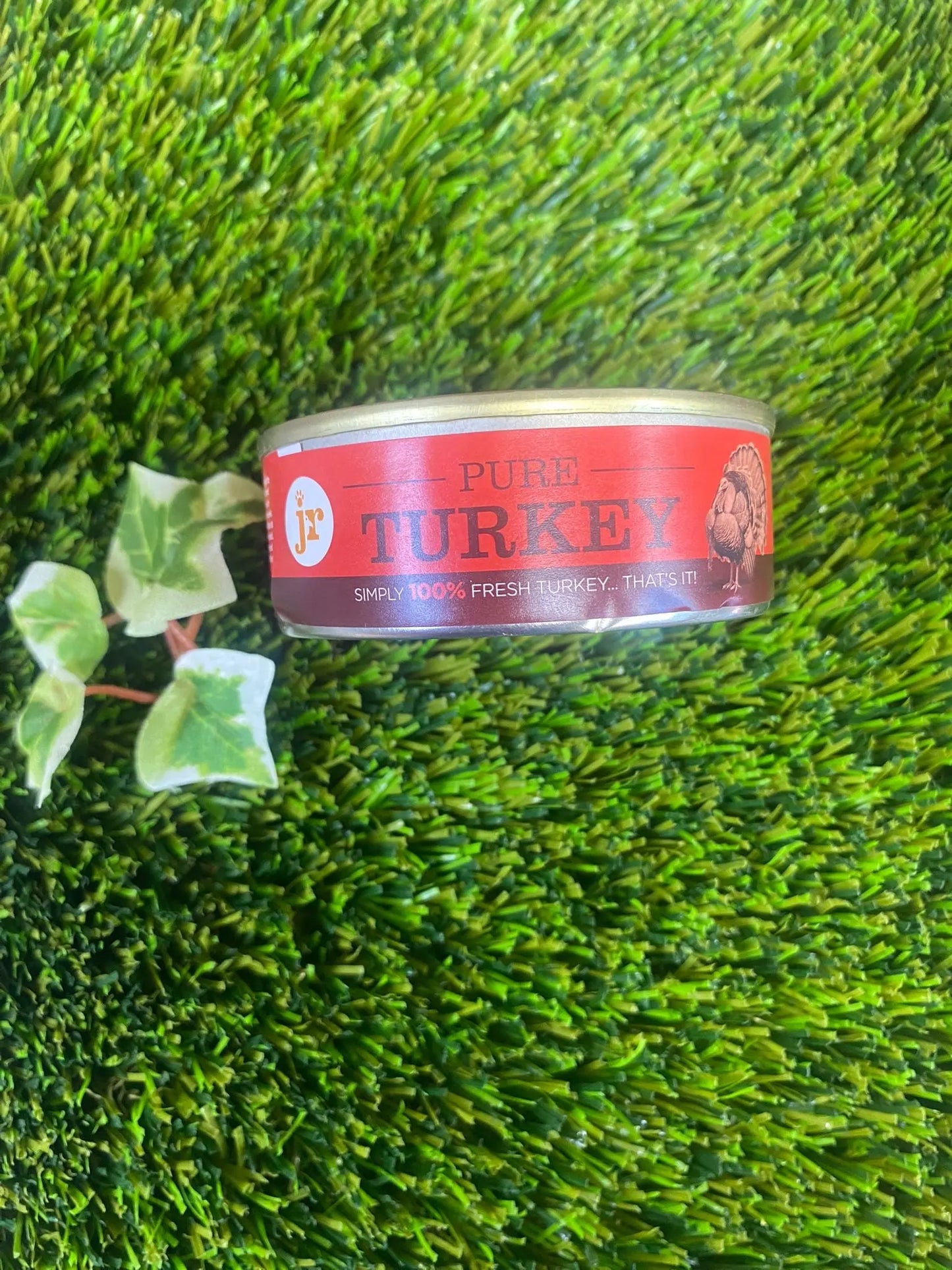 Pure turkey for dogs