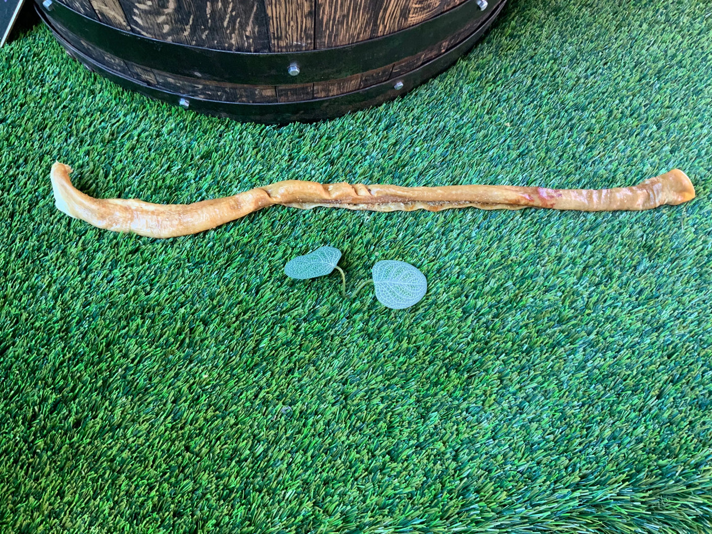 Jumbo Pork Rind Bar UTA Kennels