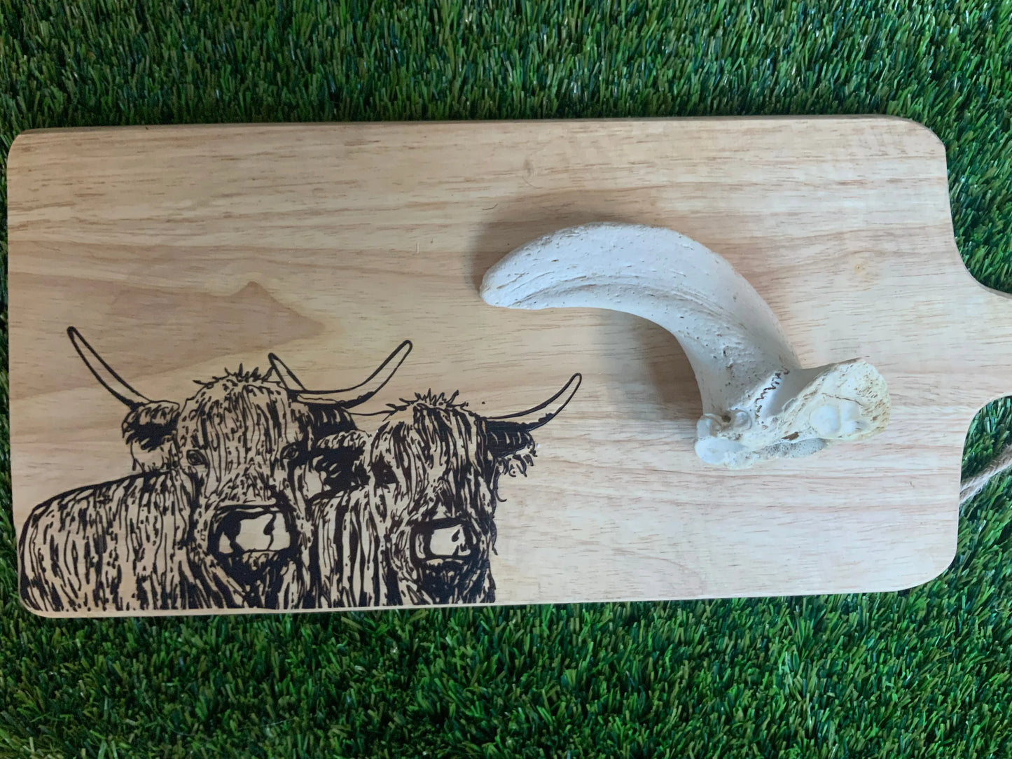 Lam horn marrow UTA K9