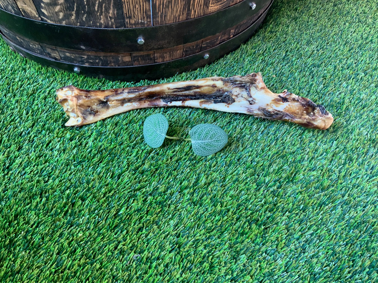 Large Venison Bone UTA Kennels