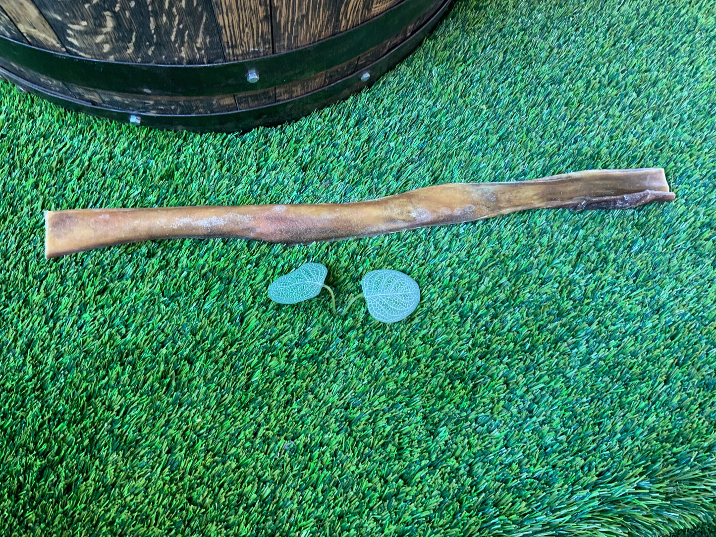 Large Venison Skin UTA Kennels