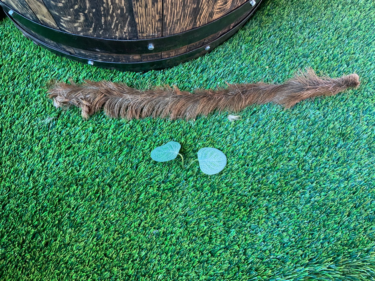 Large Venison Skin with Fur UTA Kennels