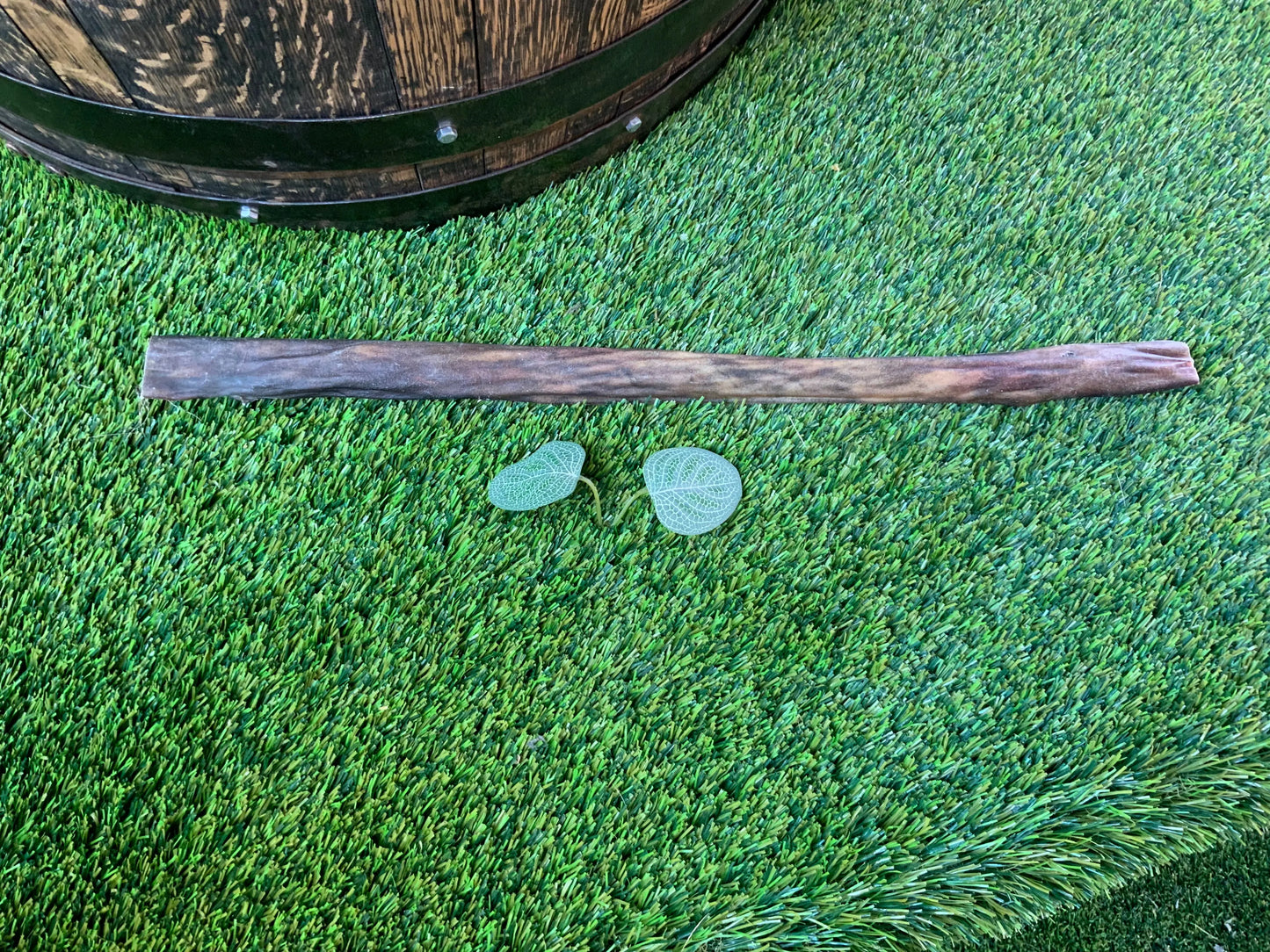 Large Wild Boar Skin UTA Kennels