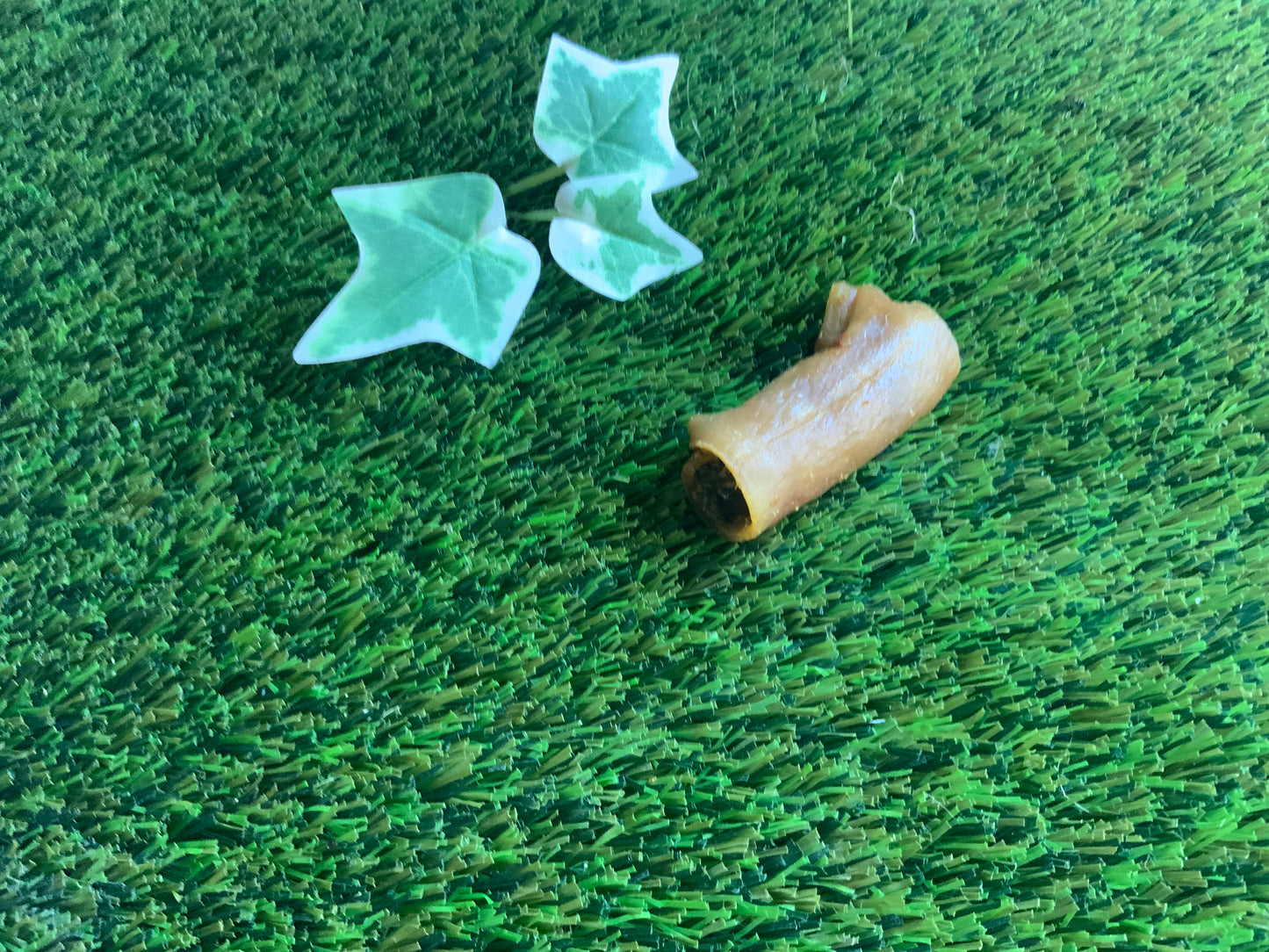 Pigs in Blanket UTA Kennels