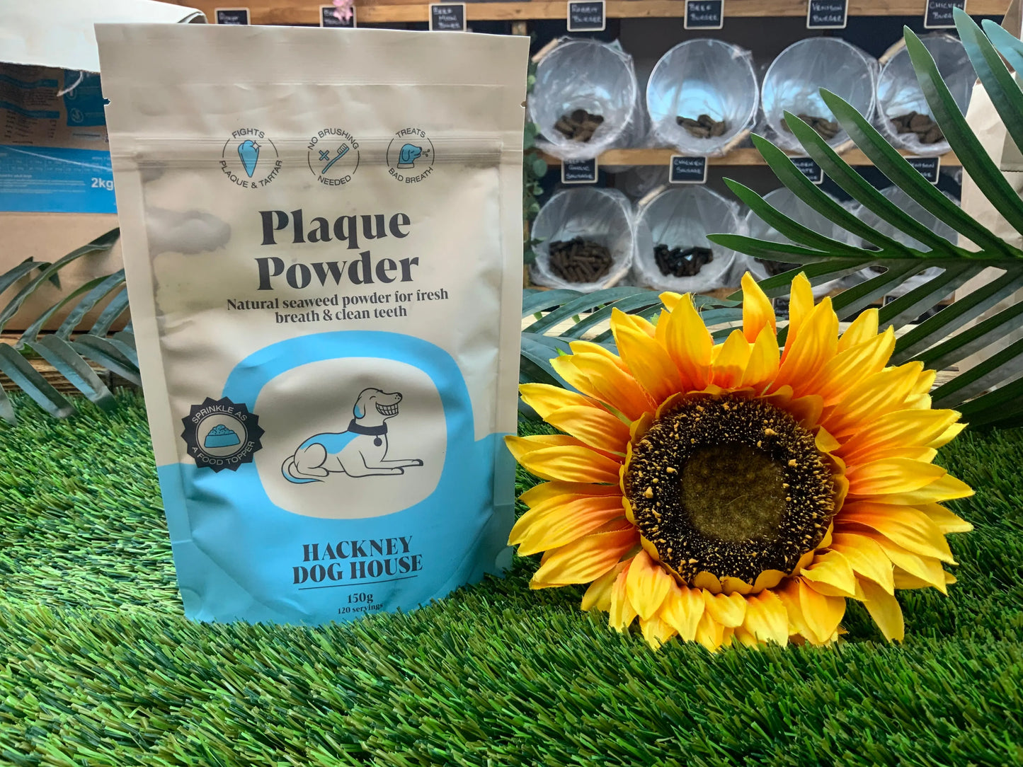 Plaque powder UTA K9