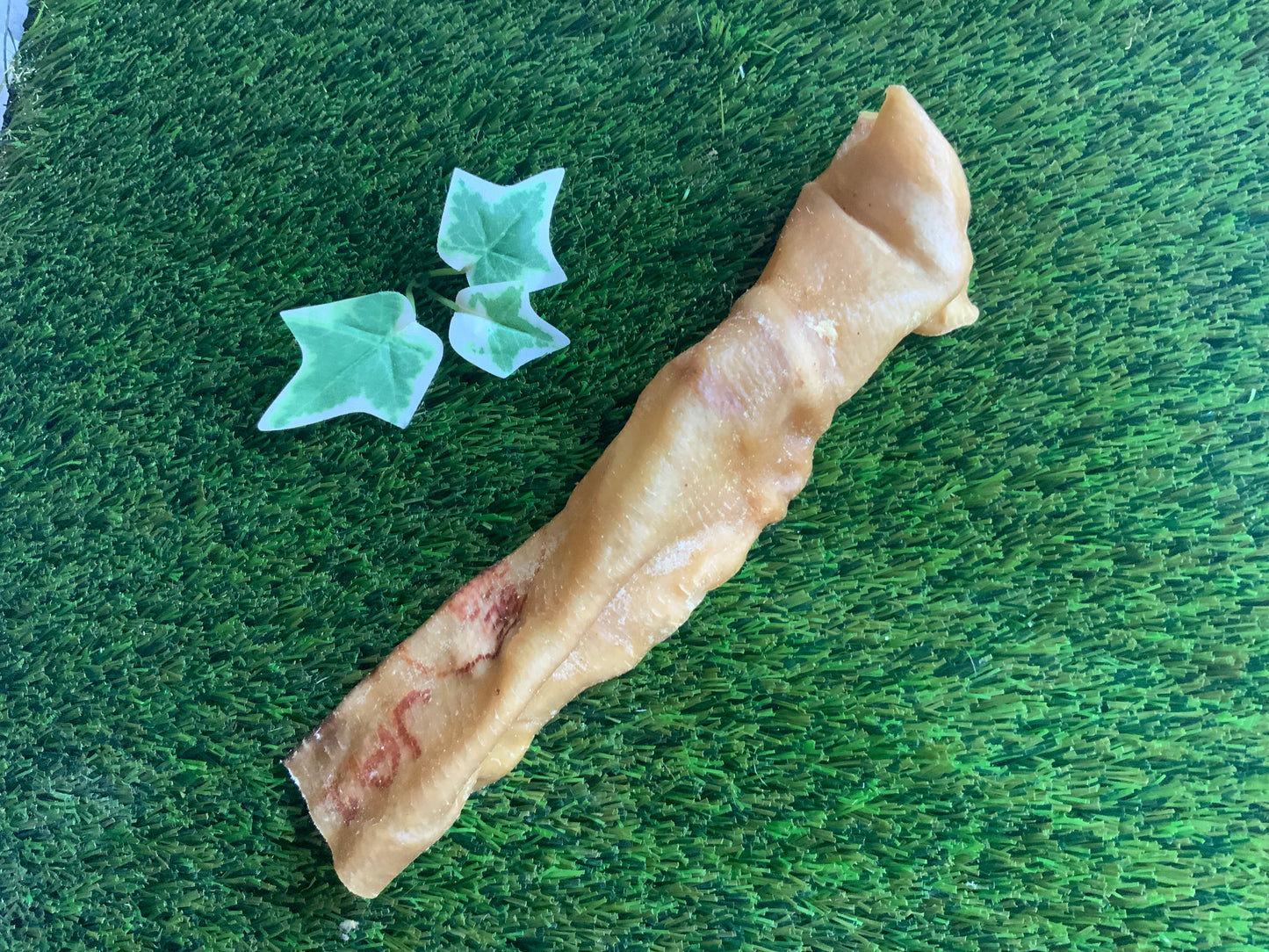 Pork Rind Bar UTA Kennels
