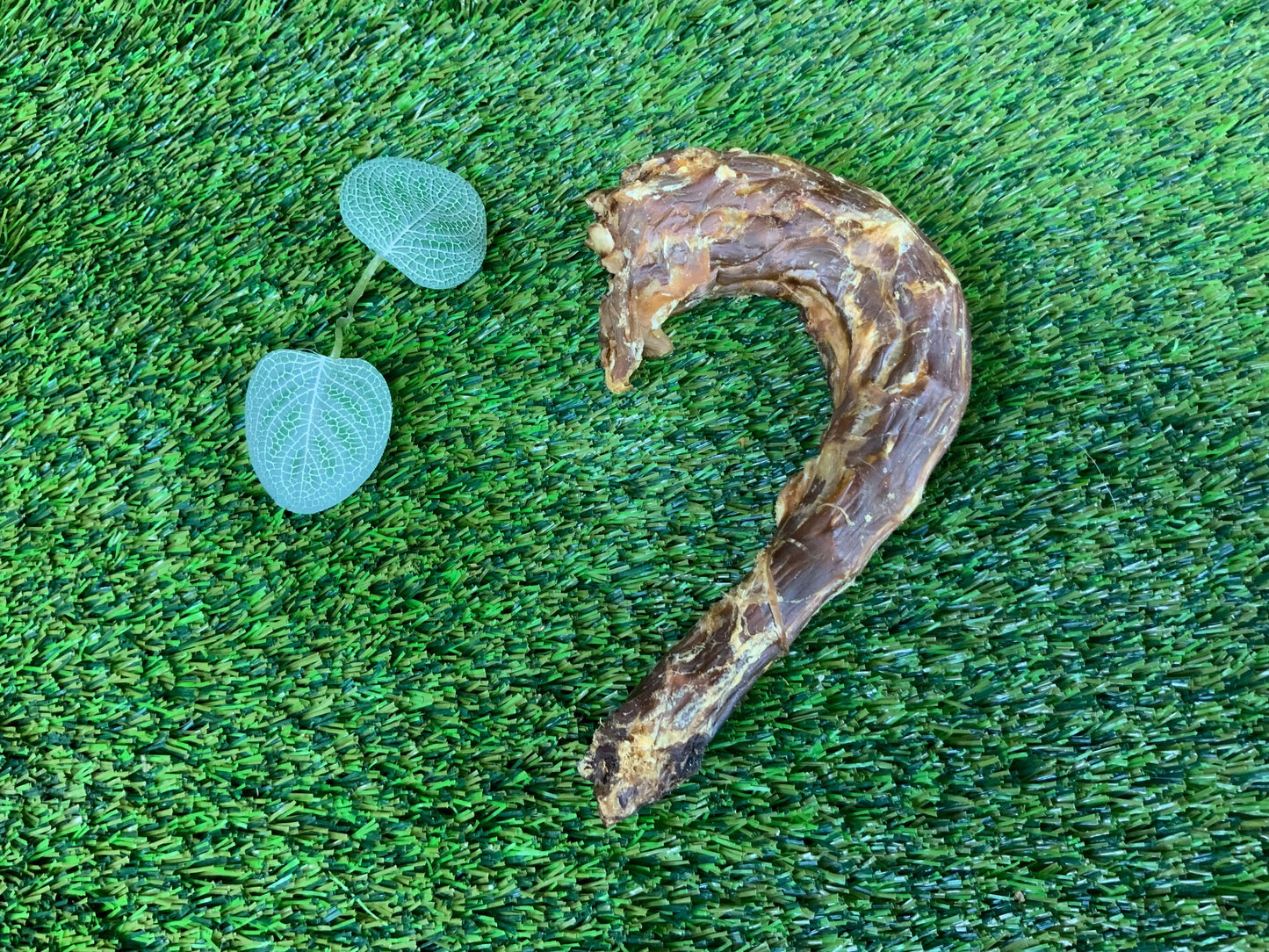 Turkey Necks UTA Kennels