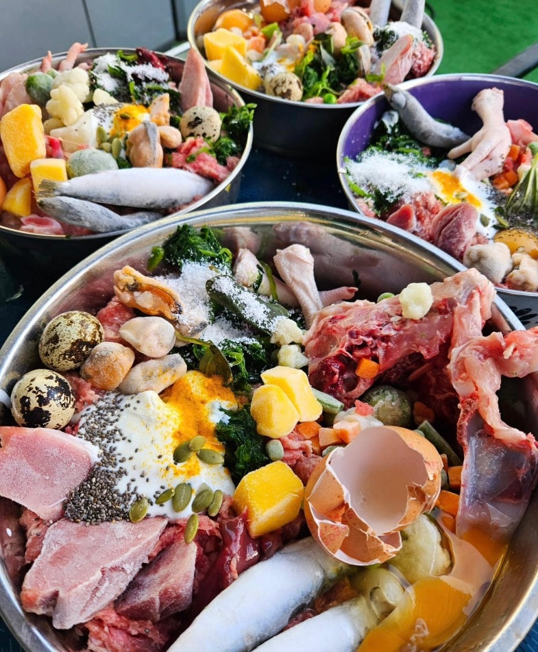 K9 Raw Food – Natural and Nutritious Meals for Your Dog