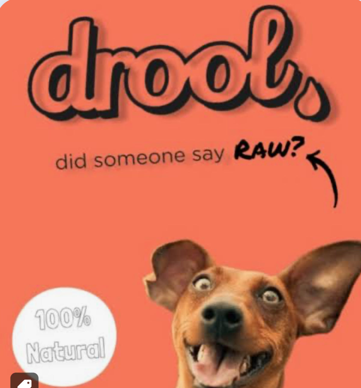 DROOL Raw Dog Food product image