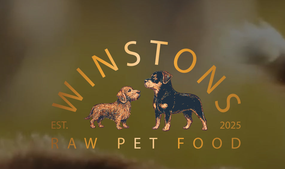 Winstons Raw Dog Food product image