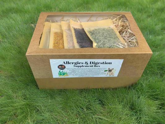 Allergies and digestion supplement box UTA K9