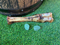 Beef Leg Bone UTA Kennels