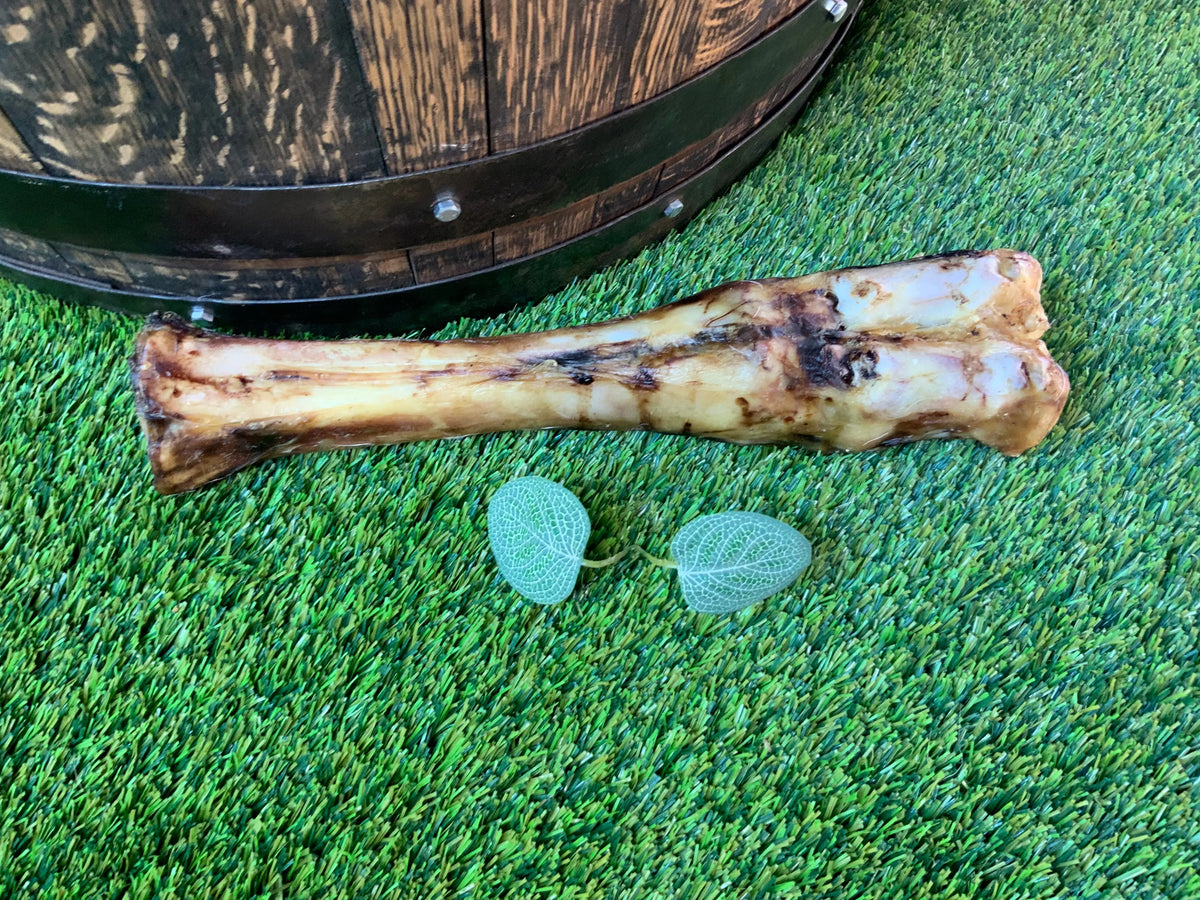 Beef Leg Bone UTA Kennels