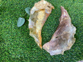 Beef Moon Bones UTA Kennels