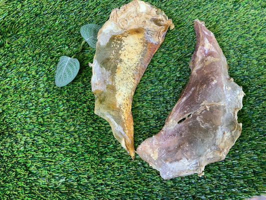 Beef Moon Bones UTA Kennels