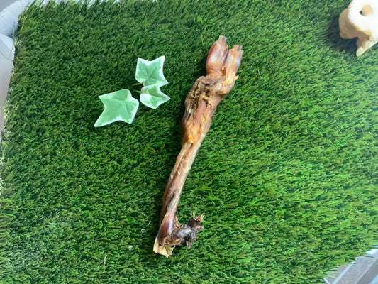 Beef Tendon UTA Kennels