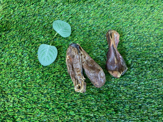 Beef Testicals UTA Kennels