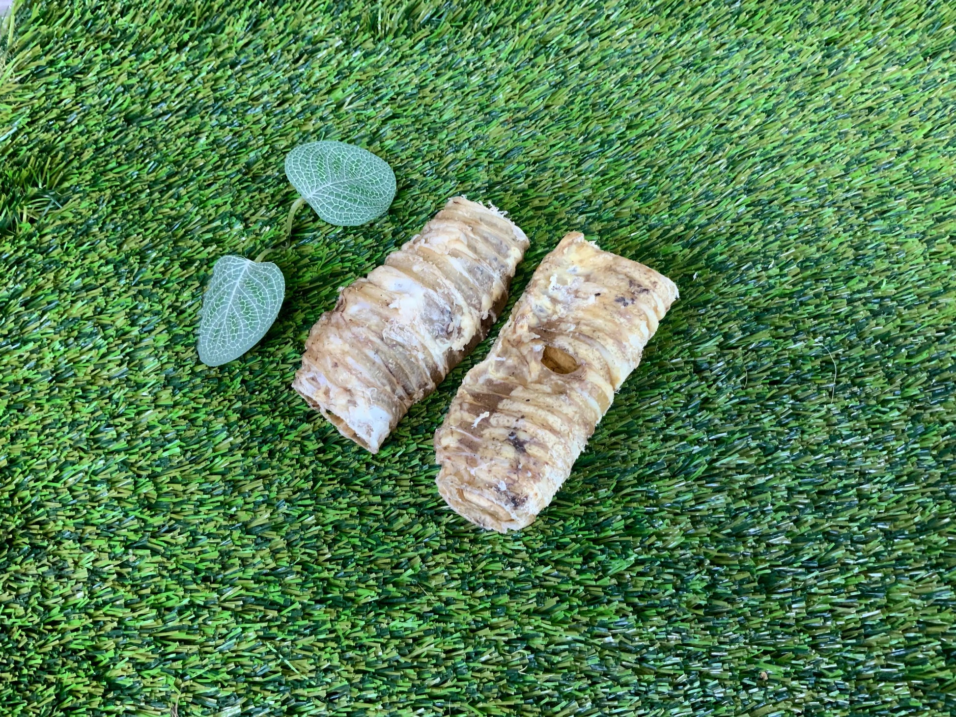 Beef Trachea UTA Kennels