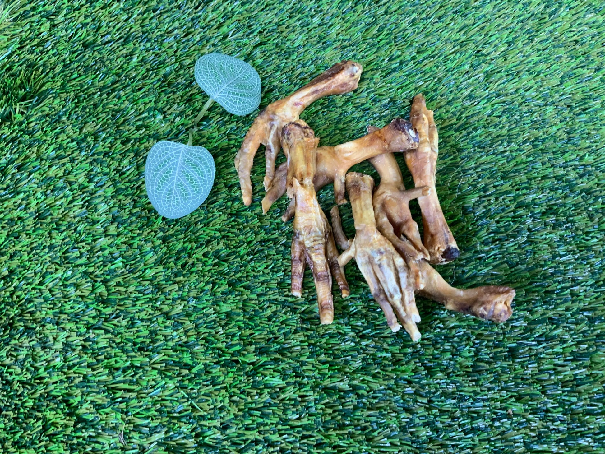 Chicken Feet UTA Kennels