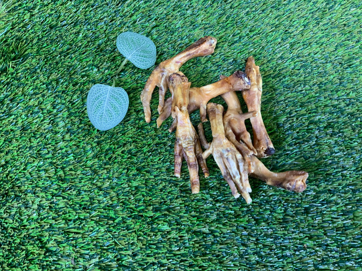Chicken Feet UTA Kennels