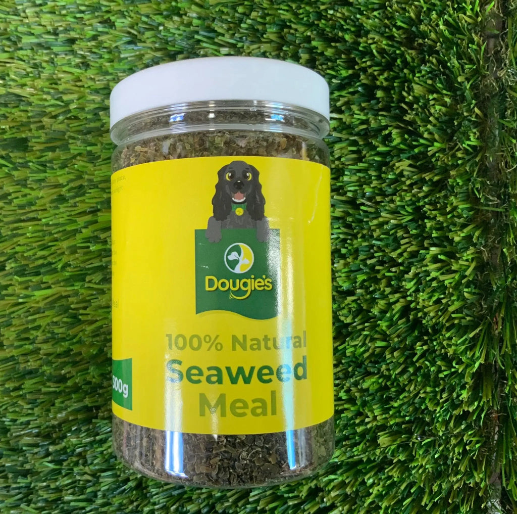 Natural seaweed meal for dogs