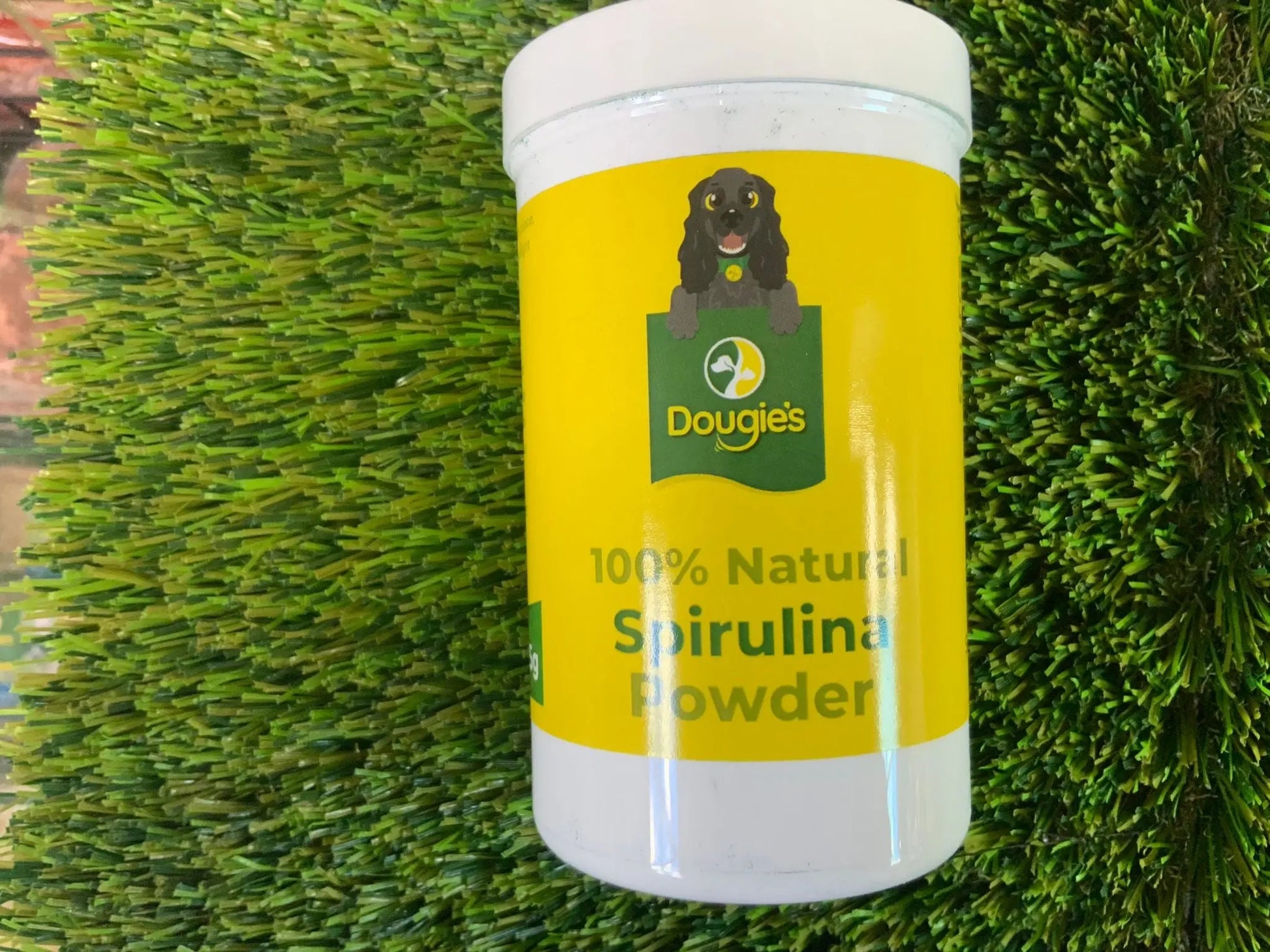 Natural spirulina powder for dogs