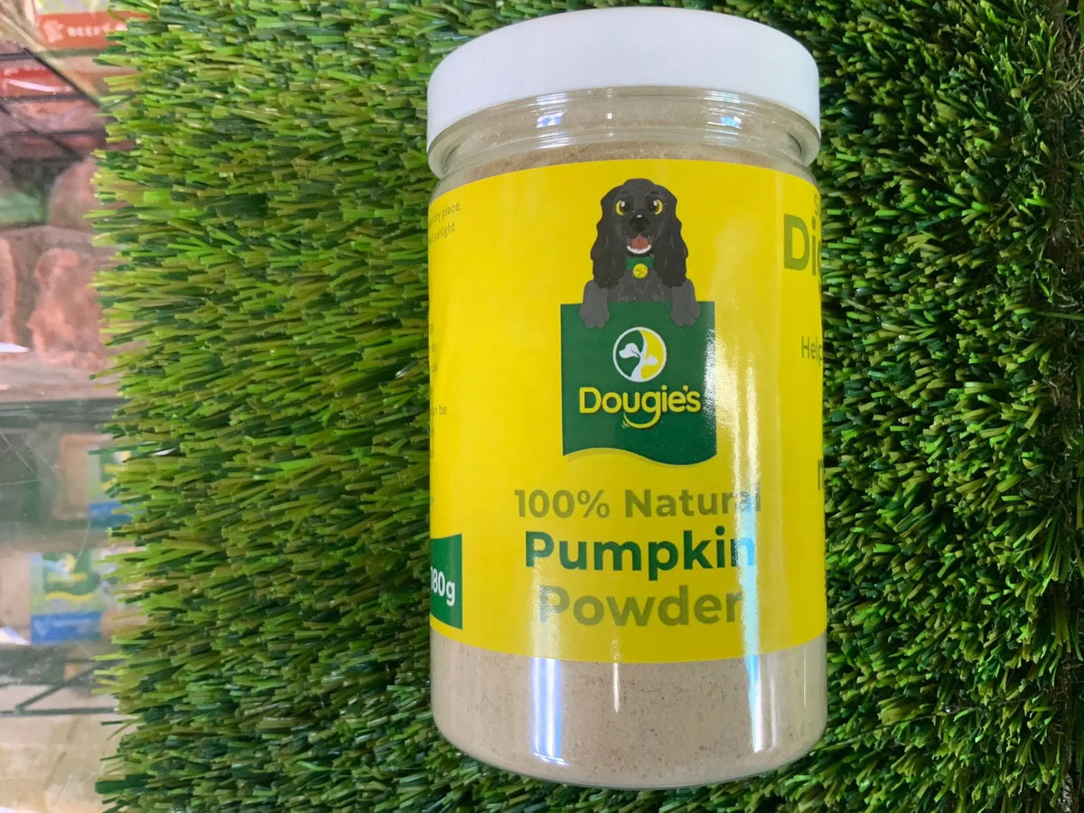 Natural_pumpkin_powder_for_dogs