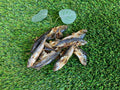 Dried Sprats UTA Kennels