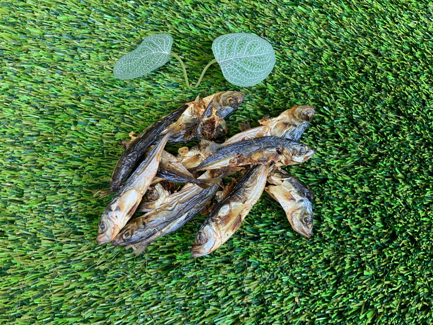 Dried Sprats UTA Kennels