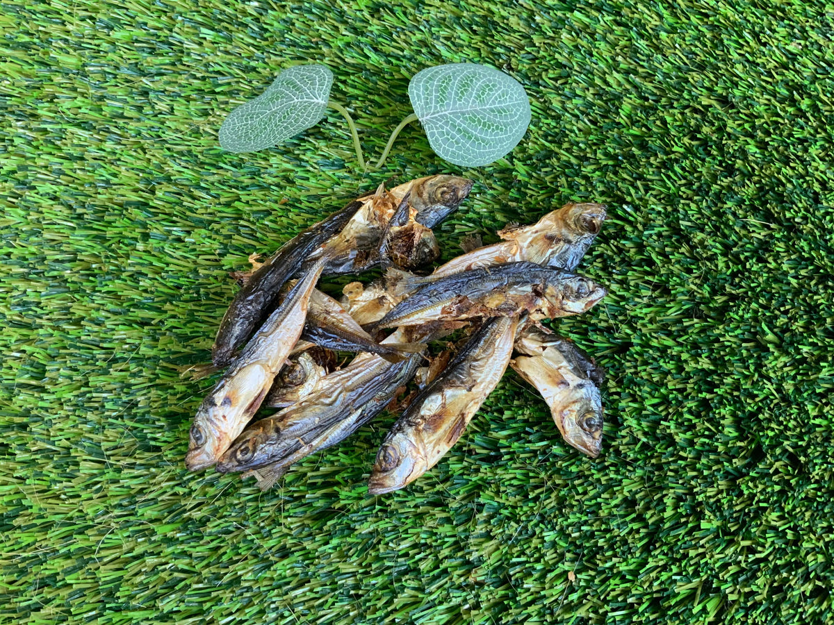 Dried Sprats UTA Kennels