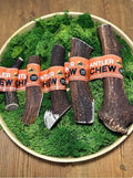 Antler Chew UTA Kennels