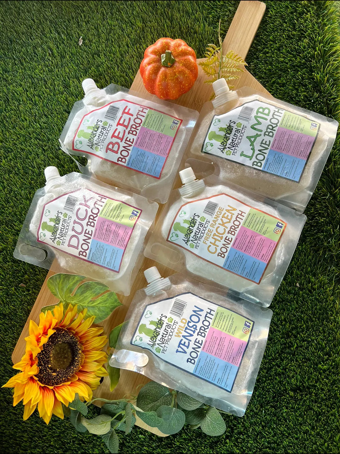 Frozen Bone Broth UTA Kennels
