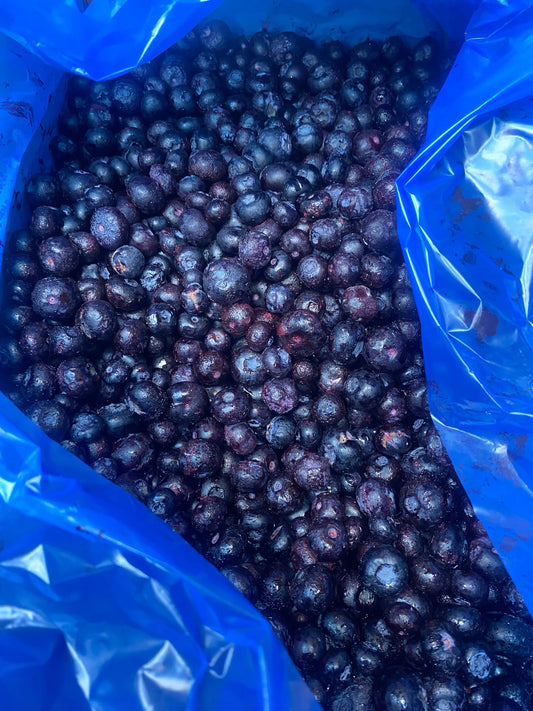 Frozen blueberry’s 250 grams UTA K9