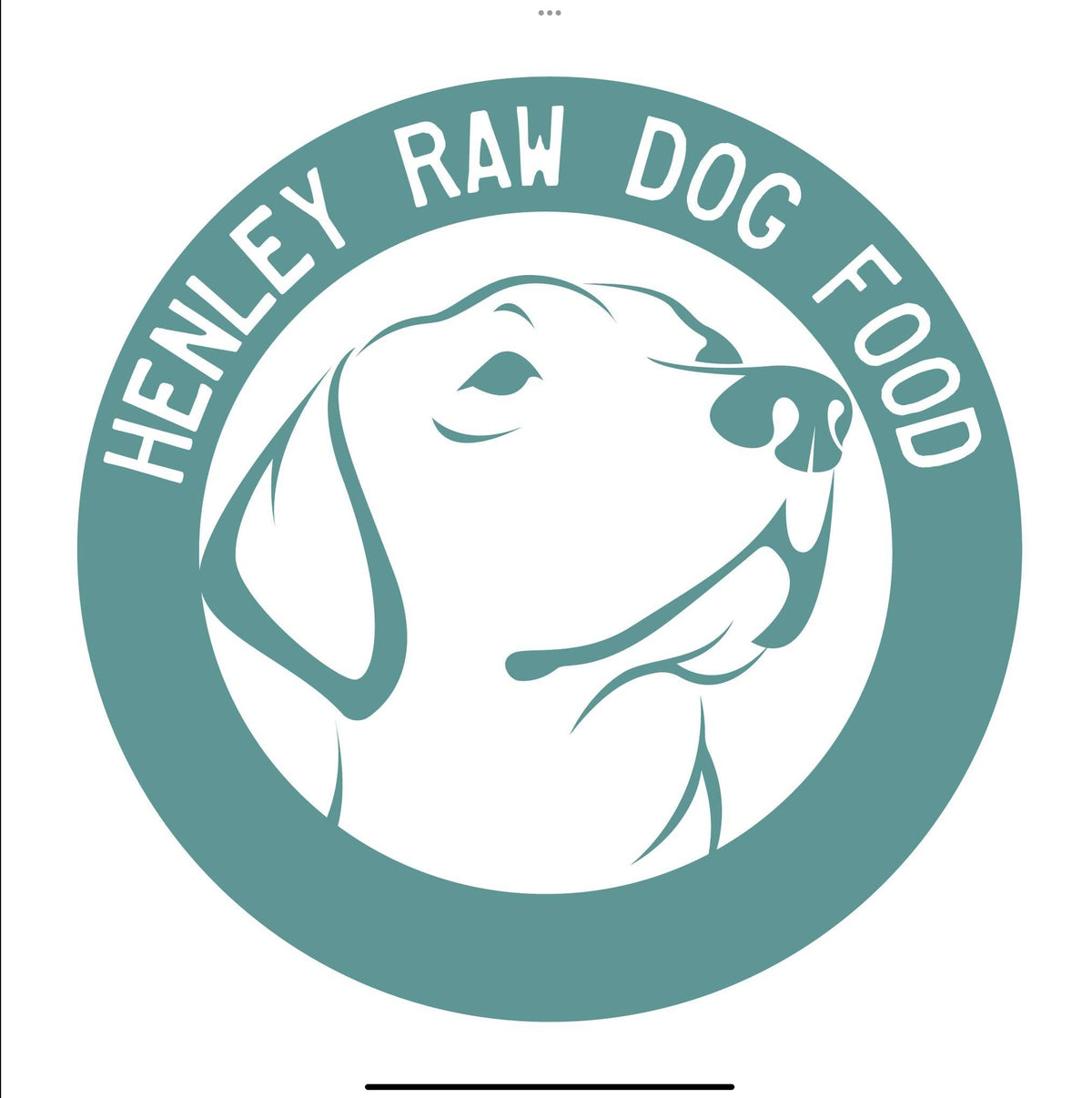 Henley's Raw Dog Food product image