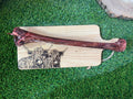 Giant ostrich bone UTA K9
