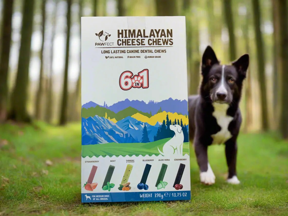 Himalayan cheese chews (6 x bars) UTA K9