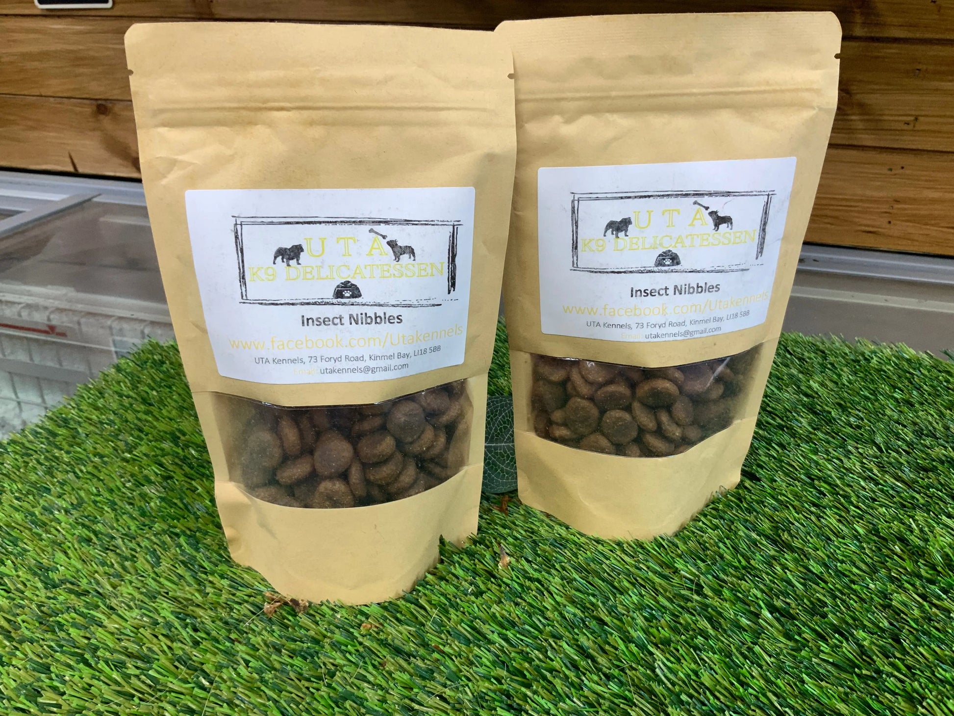 Insect Nibbles UTA Kennels