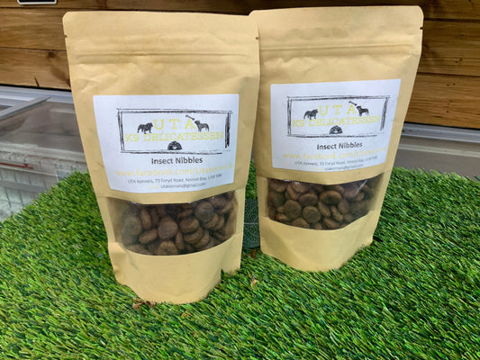 Insect Nibbles UTA Kennels