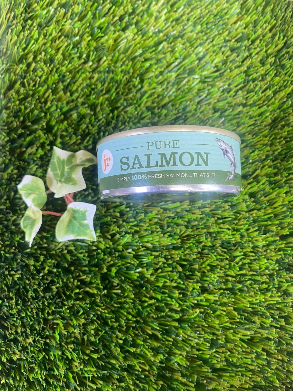 Pure salmon for dogs